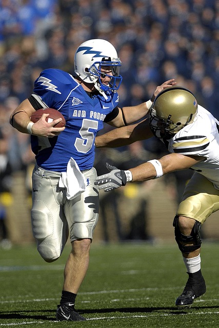 自近年来欧 自近年来欧