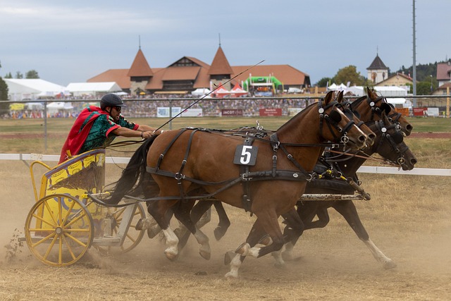 门创造更好 门创造更好